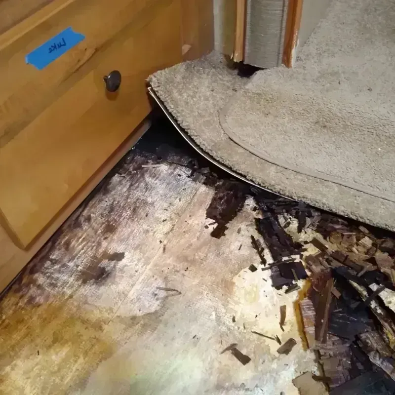 Best Wood Floor Water Damage Service in Fort Totten, ND